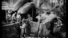 音乐短片 - 九九艳阳天