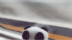 EXO-M,EXO - 你好,台北 带黄子韬游台北