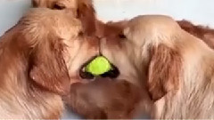 音乐短片 - 嘴对嘴