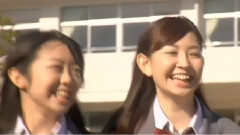 AKB48 - 桜の花びらたち2008