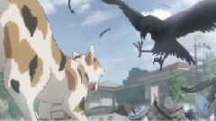 动漫专属 - 