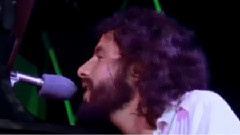 Cat Stevens - King Of Trees