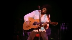 Cat Stevens - C79