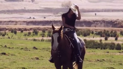 音乐短片 - Spirit Of The Earth