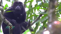 音乐短片 - Driftwood