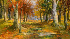 音乐短片 - Karl Vikas