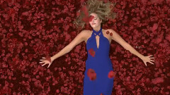 音乐短片 - Follow Your Heart