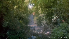 音乐短片 - Sentinel of Eden