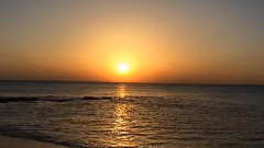 音乐短片 - Aspettami