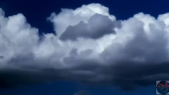 音乐短片 - Fatum Fugit