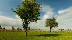 音乐短片 - 德国发烧天碟 Woodland Cathedral