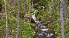 音乐短片 - 绿袖子