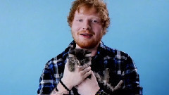 Ed Sheeran - Ed's MMVA Open 加拿大MMVA大奖开场视频