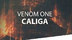 欧美群星 - Caliga 官方试听版