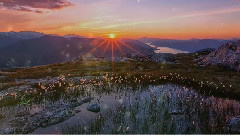 音乐短片 - Beethoven's Silence