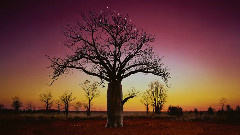 音乐短片 - 2014 平安夜圣诞