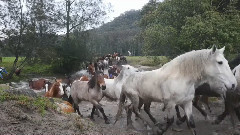 音乐短片 - Convened To Travel Glenworth Gu Ma