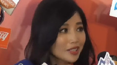 A-Lin - 电子聊访