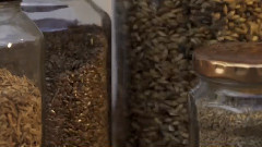 音乐短片 - Emoliente