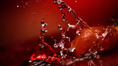 音乐短片 - The Cocktail Allegory