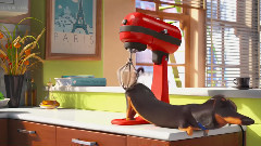 影视原声 - 宠物的秘密生活(The Secret Life of Pets) 电影预告