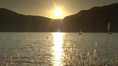 音乐短片 - 人比黄花瘦