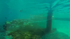 音乐短片 - The Mysterious Underwater World