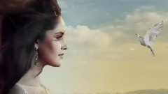 音乐短片 - Moment Of Peace