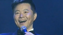 王宏伟 - 西部放歌