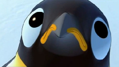 Pigloo - Papa Pinguin