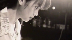 ZARD - DREAM Spring