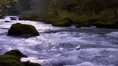 Andre Rieu,音乐短片 - You Raise Me Up