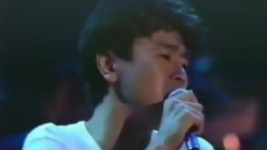 真夏の果实