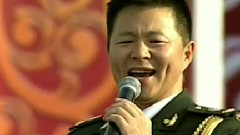 王宏伟 - 舒心的日子