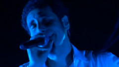 Toxicity