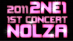 2NE1 - 1ST CONCERT 'NOLZA'