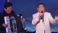 宋海 - 悲伤过客