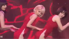 AOA - 短裙