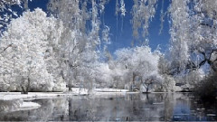 Andre Rieu - When Winter Comes