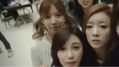 A Pink - Apink Mini Diary' Happy New Year 2014