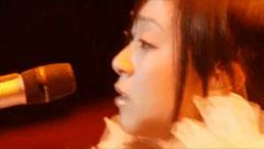宇多田光 - Passion