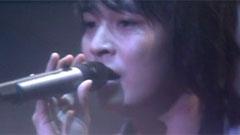 金桢勋 - 鹦鹉