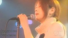 ZARD - Promised You