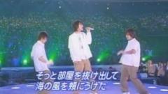 w-inds. - Love Is Message Hey*3