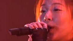 BoA - 传情