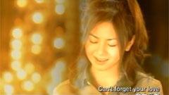 仓木麻衣 - Can't Forget Your Love