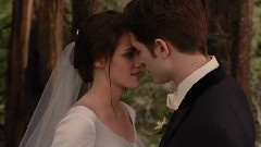 Iron & Wine - Flightless Bird