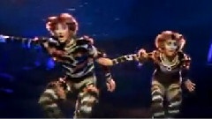 欧美群星 - Mungojerrie And Rumpleteazer
