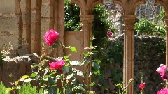 Monestir De Miramar In A Sunny Day