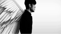林奕匡 - 仲永伤
